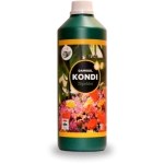 Damisol Kondi 1 L /általános kondícionálás/