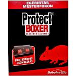 R PROTECT BOXER EGÉRÍRTÓ ÁLLOMÁS 12/#