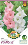 Virághagyma 1.Kardvirág Gladiolus Duo Pink & White 10 db 1/14