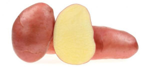 Burgonya vetőgumó Desiree 50 szemes