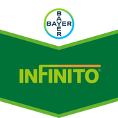 INFINITO 5 L