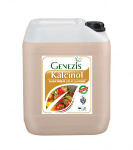 KALCINOL 10 L-ES