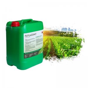 PHYLAZONIT  10 L