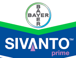 SIVANTO PRIME 1 L /alma,körte,birs,naspolya-levéltetű/