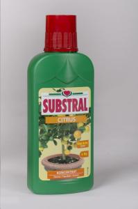 Substral tápoldat Citrusfélékhez  0,25 L 10 db/# 175210