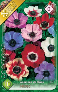 Virághagyma 0.Anemone de Caen  mixed koronás szellőrózsa 10 db (0/3)