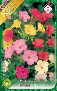 Virághagyma 0. Mirabilis jalapa csodatölcsér 2db (0/4)