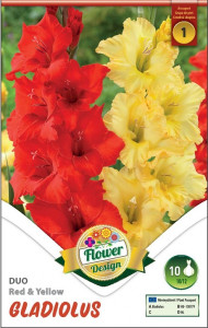 Virághagyma 1.Kardvirág Gladiolus Duo Red & Yellow 10 db 1/46