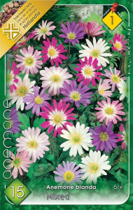 Virághagyma 1.Szellőrózsa Anemone Blanda 15 db (1/5, 1/6)