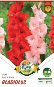 Virághagyma 1.Kardvirág Gladiolus Duo Red & Pink 10 db 1/28
