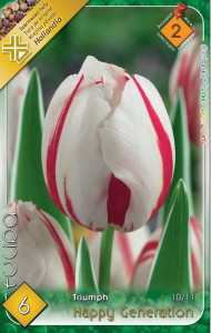 Virághagyma 2.Tulipán Happy Generation 6db 2/12